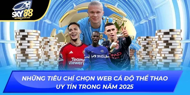 web cá độ thể thao uy tín 2025